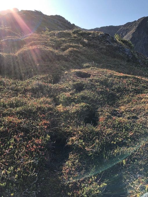 Footprint path worn into a mountain ridge by bears.