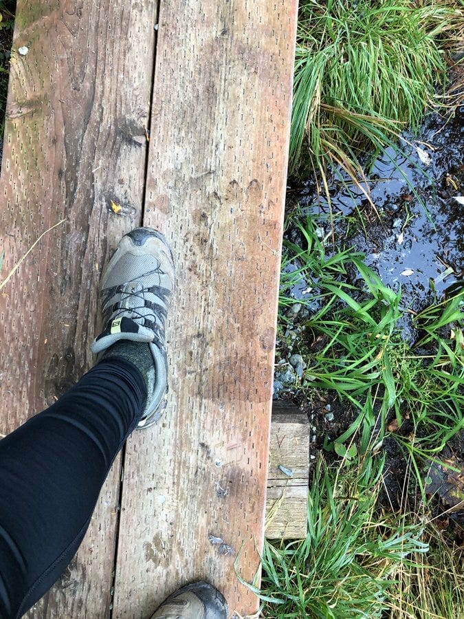 Foot in running shoe next to fresh bear print on a boardwalk.